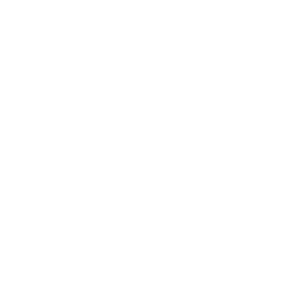 Icon investment