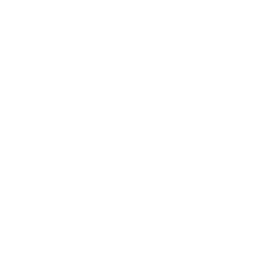 Icon target